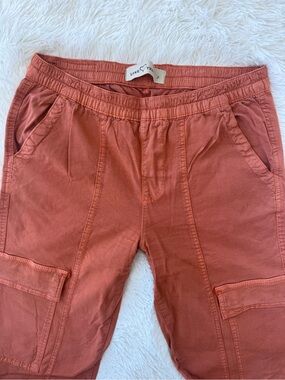 Love Tree Men's Rust-Red Cargo Pants